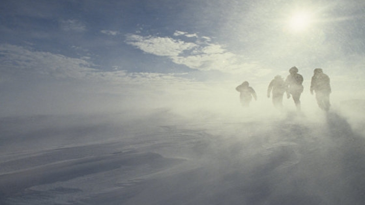  Из открытых источников