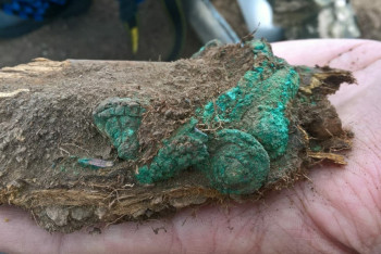 Фотография к новости: Уникальные золотые украшения эпохи бронзы обнаружили археологи под Зерендой