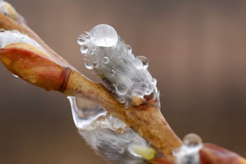 Фотография к новости: Похолодание ожидается почти на всей территории Казахстана