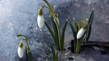 Фотография к новости: Синоптики рассказали о погоде в Казахстане 1 марта