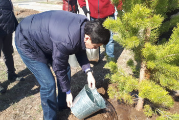 Фотография к новости: В Темиртау приступили к реализации плана по оздоровлению экологии города