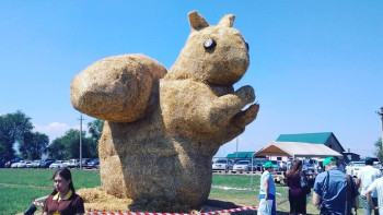 Фотография к новости: Абсолютно бесплатно – в агропарке "Каскелен" рассказали о бюджетном аналоге алматинской белки