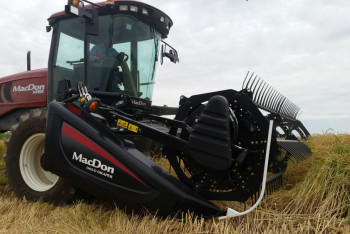 Фотография к новости: Рисовая компания создает особые условия для талантливой молодежи в Кызылорде