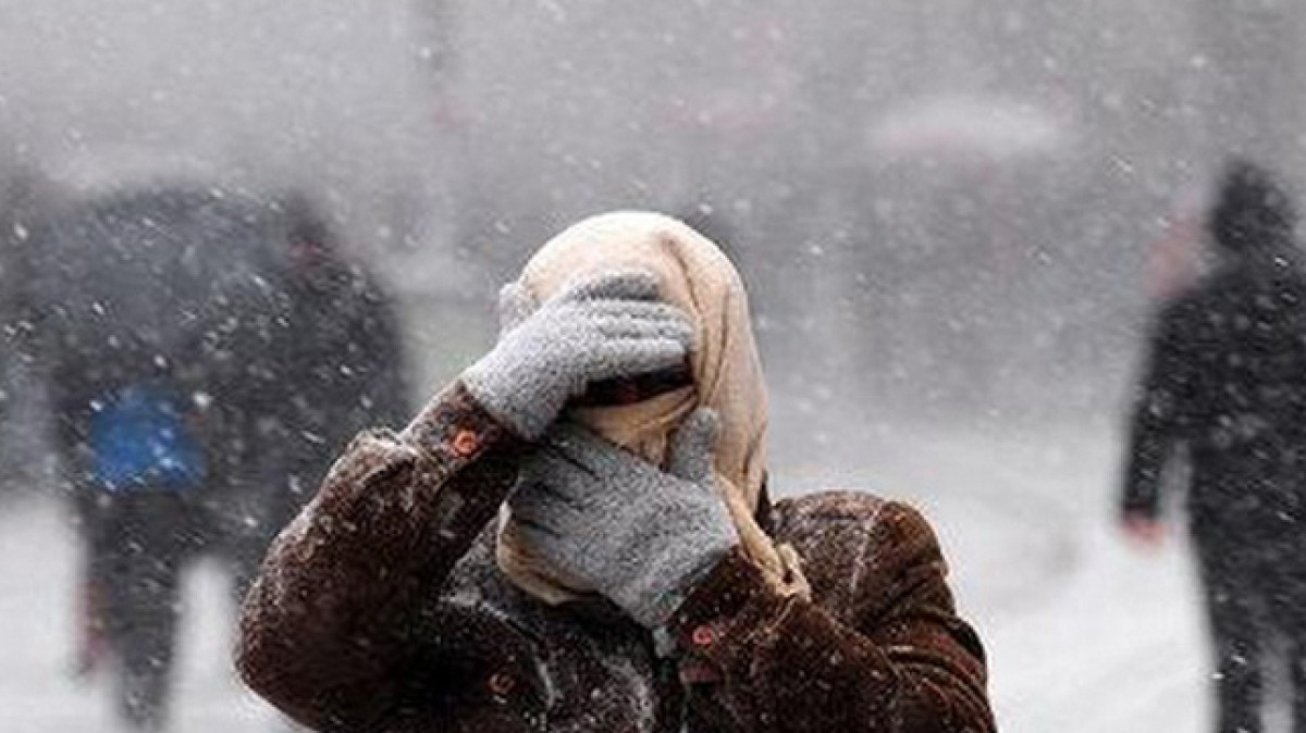  Из открытого источника 