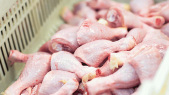 Фотография к новости: Кишечную палочку нашли в мясе цыплёнка актюбинские санврачи