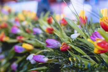 Фотография к новости: Куда сходить 8 Марта в Астане