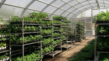 Фотография к новости: Теплицы пятого поколения появились в Казахстане