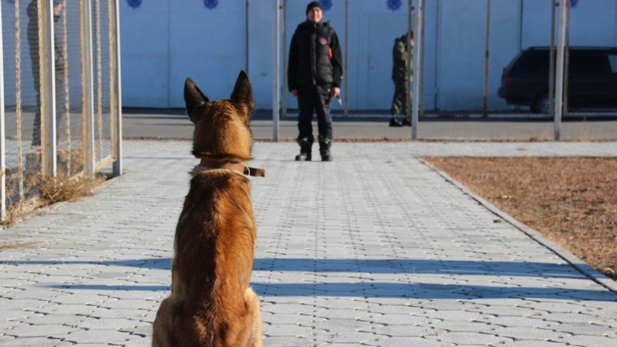  ДЧС Карагандинской области