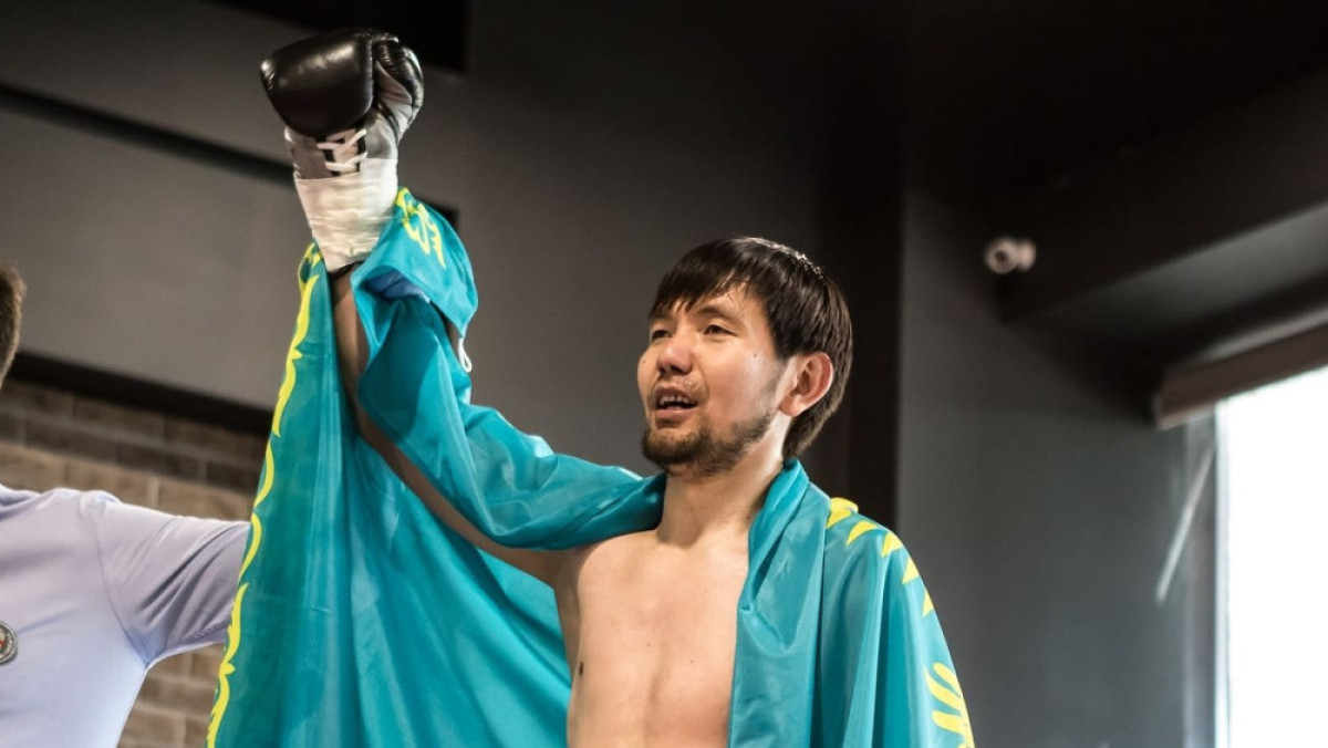  Профи Бокс Казахстана 