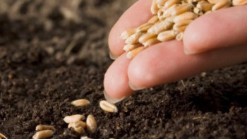 Фотография к новости: 25 млн долларов инвестируют американские бизнесмены в развитие семеноводства РК