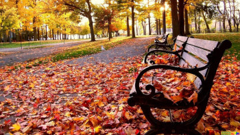 Фотография к новости: Погода без осадков сохраняется на большей части страны 15 сентября 