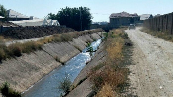 Фотография к новости: Девочка умерла, спасая собаку в Шымкенте: в полиции завели уголовное дело