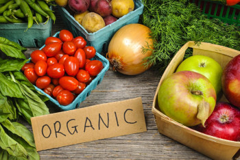 Фотография к новости: Правительство составит список производимых в Казахстане эко-продуктов