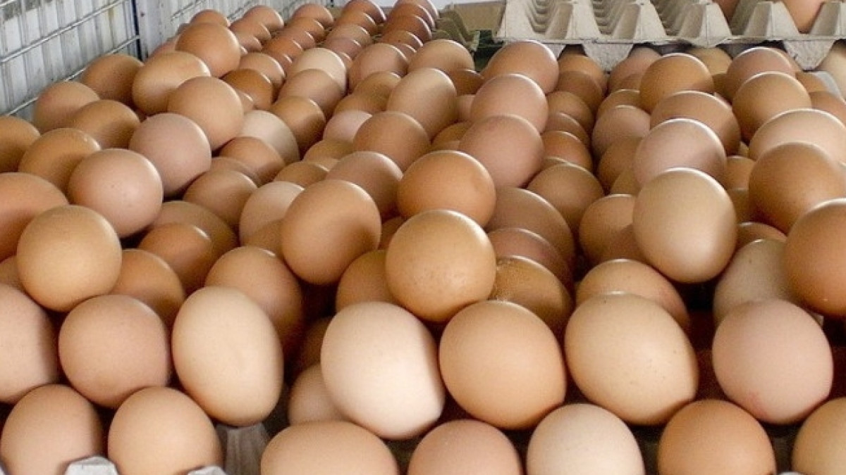  Из открытых источников