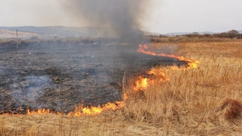 Фотография к новости: В ВКО загорелось 25 гектаров сухой травы