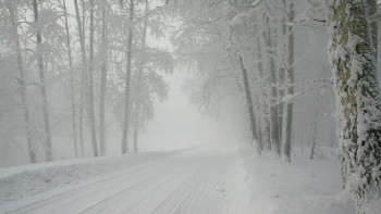 Фотография к новости: Синоптики рассказали о погоде в Казахстане 5 февраля