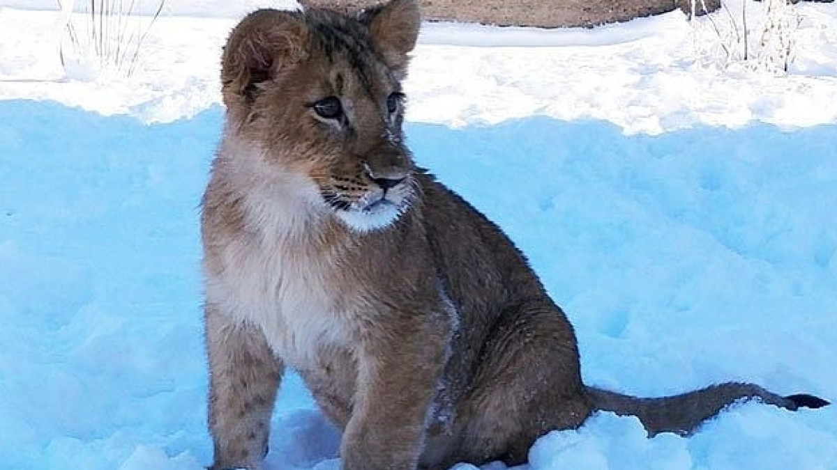  Instagram/yerkinbayev