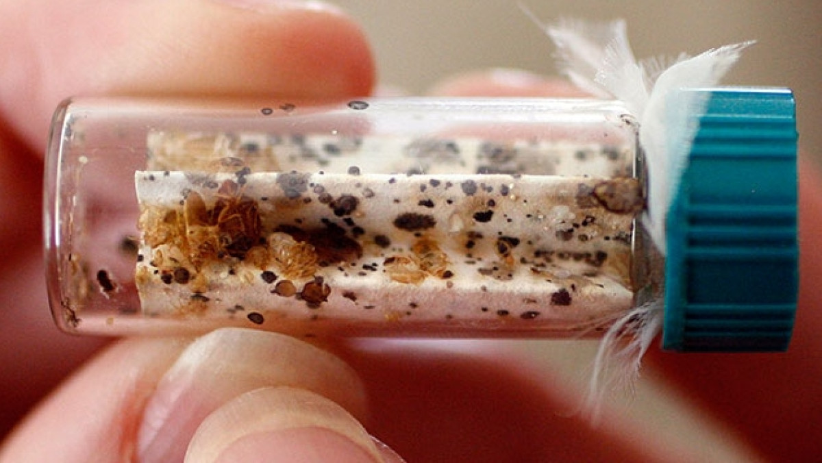  Из открытых источников 