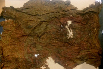 Фотография к новости: Меценатов для реставрации знамени эпохи Золотой Орды ищет казахстанка