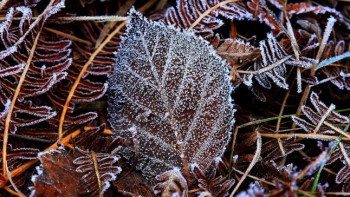 Фотография к новости: В Казахстан придут 20-градусные морозы 