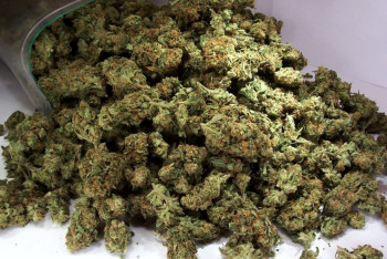 Фотография к новости: Полицейские-наркоторговцы осуждены в Шымкенте