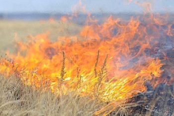 Фотография к новости: Степной пожар тушат на окраине Астаны 