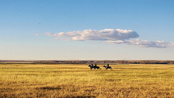 Фотография к новости: Более 2 млн гектаров неиспользуемых земель выявлено в Казахстане в 2018 году 