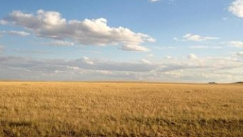 Фотография к новости: Источник позитивной исторической самооценки – эксперт о статье Президента "Семь граней Великой степи"