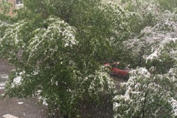 Фотография к новости: Лета не будет: в Усть-Каменогорске выпал снег