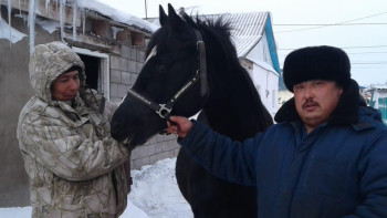 Фотография к новости: Как программа "Сыбаға" помогла "развернуться" акмолинскому фермеру