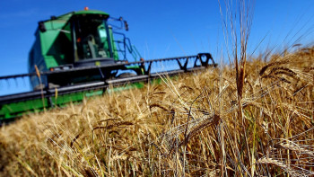 Фотография к новости: В Туркестанской области запустят 45 предприятий по переработке сельхозпродукции