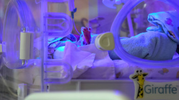 Фотография к новости: МИД РК доставит новорождённую алматинку из Турции в Казахстан