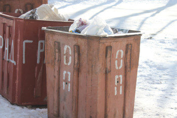 Фотография к новости: Выброшенного в мусорный контейнер младенца спасли в Павлодарской области