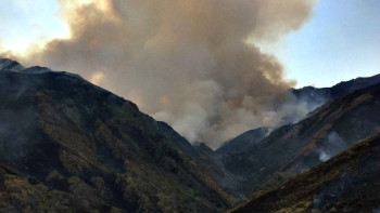 Фотография к новости: Пожар в Жамбылской области: обстановка стабилизировалась после дождя