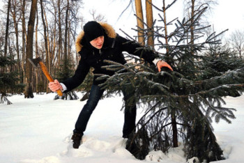 Фотография к новости: Более 600 незаконно заготовленных новогодних елок изъято у казахстанцев 