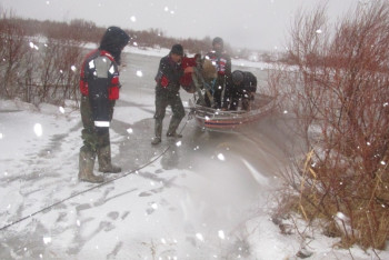 Фотография к новости: Табун лошадей спасли с острова на замерзшей Сырдарье