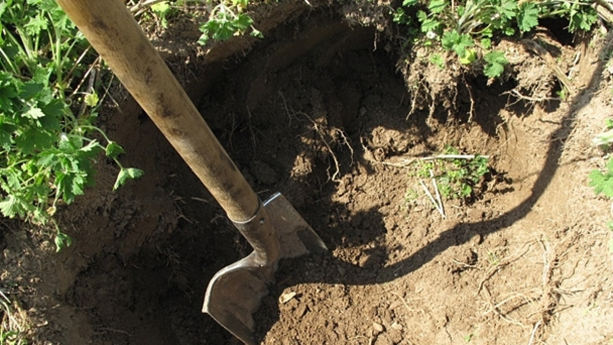  из открытых источников