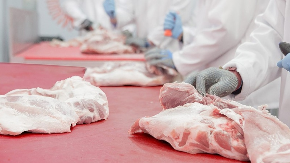  orenburg.meatinfo.ru