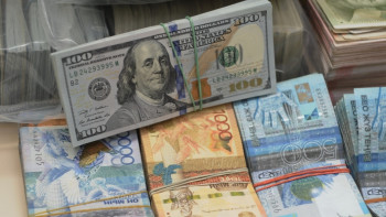 Фотография к новости: Не покупать дорожающий доллар советует казахстанцам Акишев 