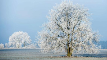 Фотография к новости: Похолодание придёт в Казахстан после аномального тепла