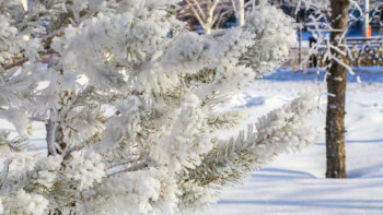 Фотография к новости: Штормовое предупреждение объявлено на юге Казахстана
