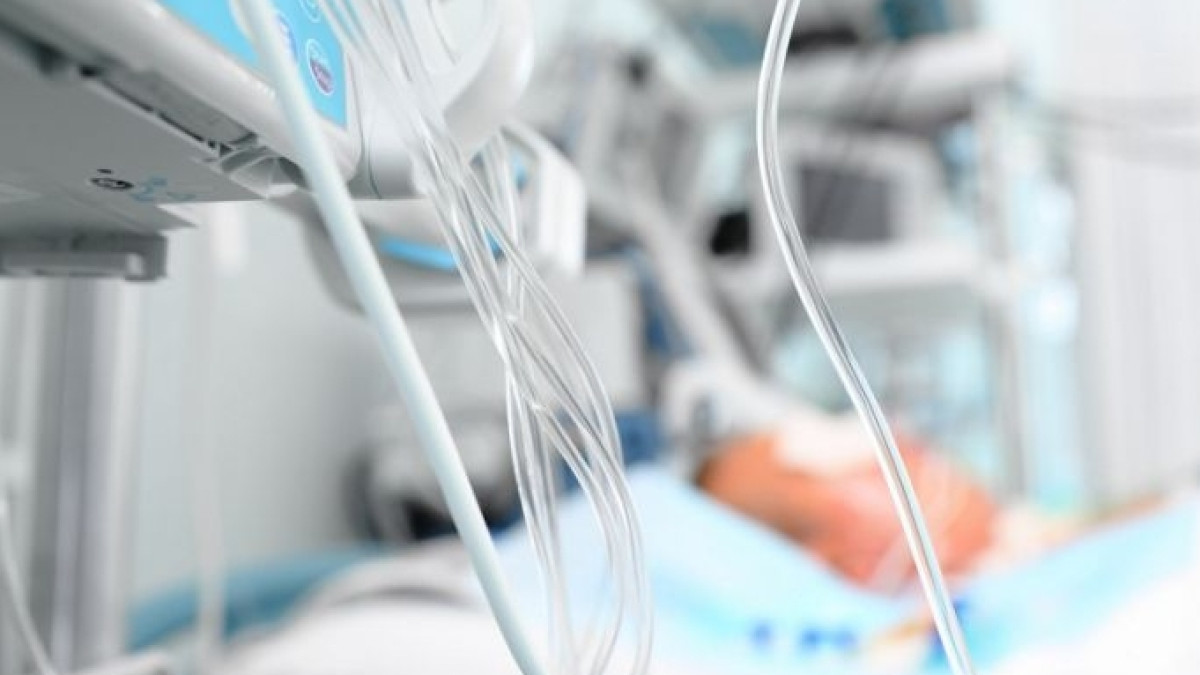  Медвестник