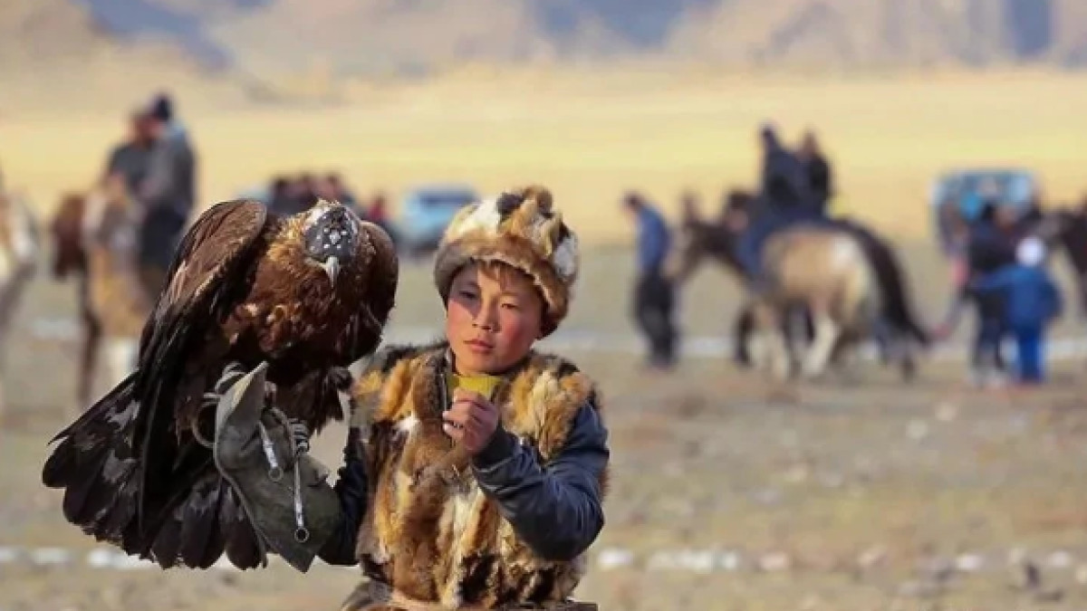  Иллюстративное 