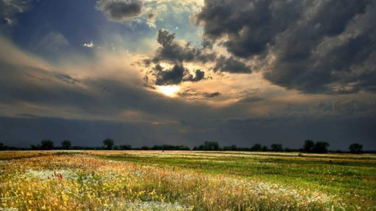  Из открытых источников 