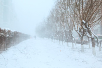 Фотография к новости: Ветер и туман ожидаются в большинстве регионов Казахстана