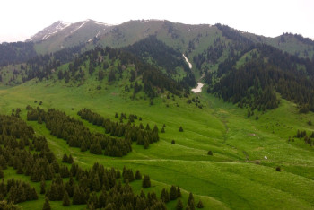 Фотография к новости: Замечания и предложения по проекту Кок-Жайляу власти Алматы будут принимать на сайте