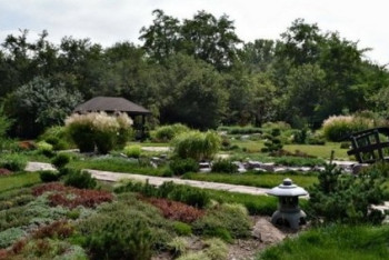 Фотография к новости: Из-за отсутствия финансирования состояние ботанического сада Алматы запущенное - директор 