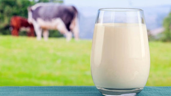 Фотография к новости: В ВКО увеличат закуп молока у населения