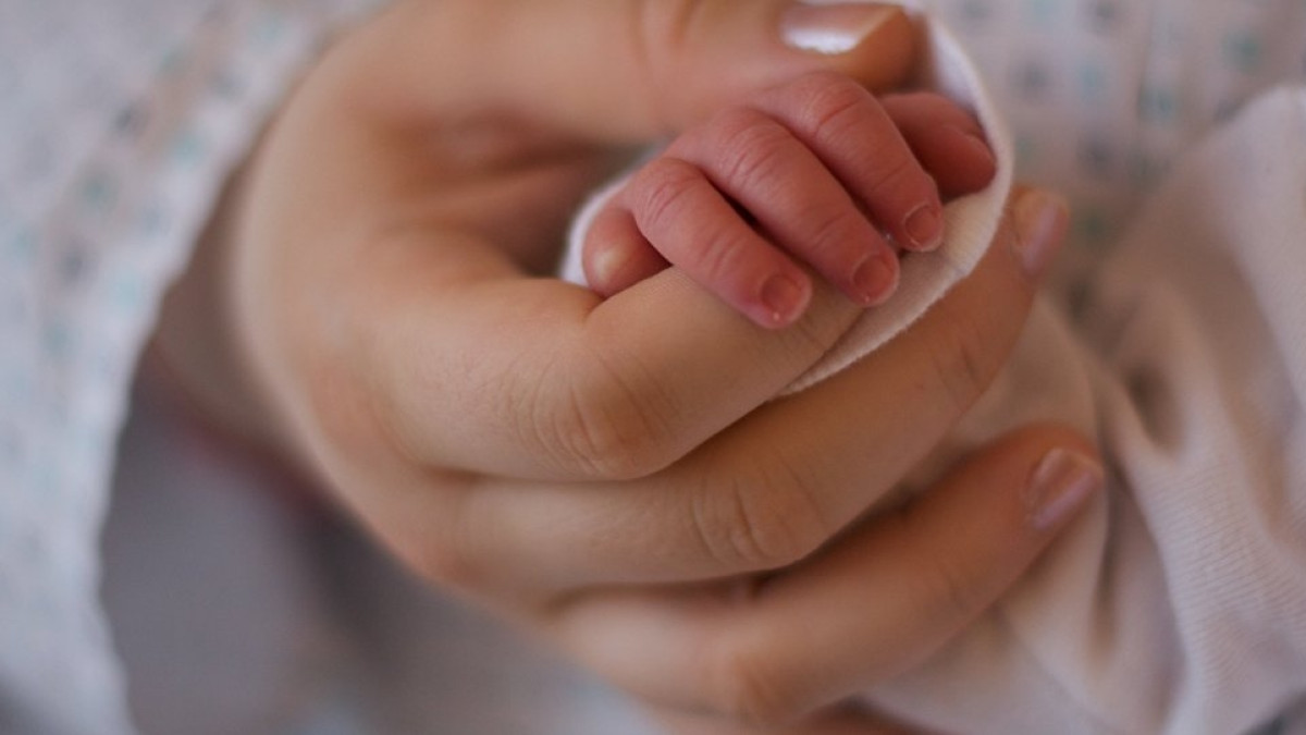  Из открытых источников 