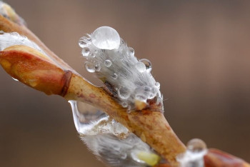 Фотография к новости: Похолодание по всему Казахстану ожидается на выходных
